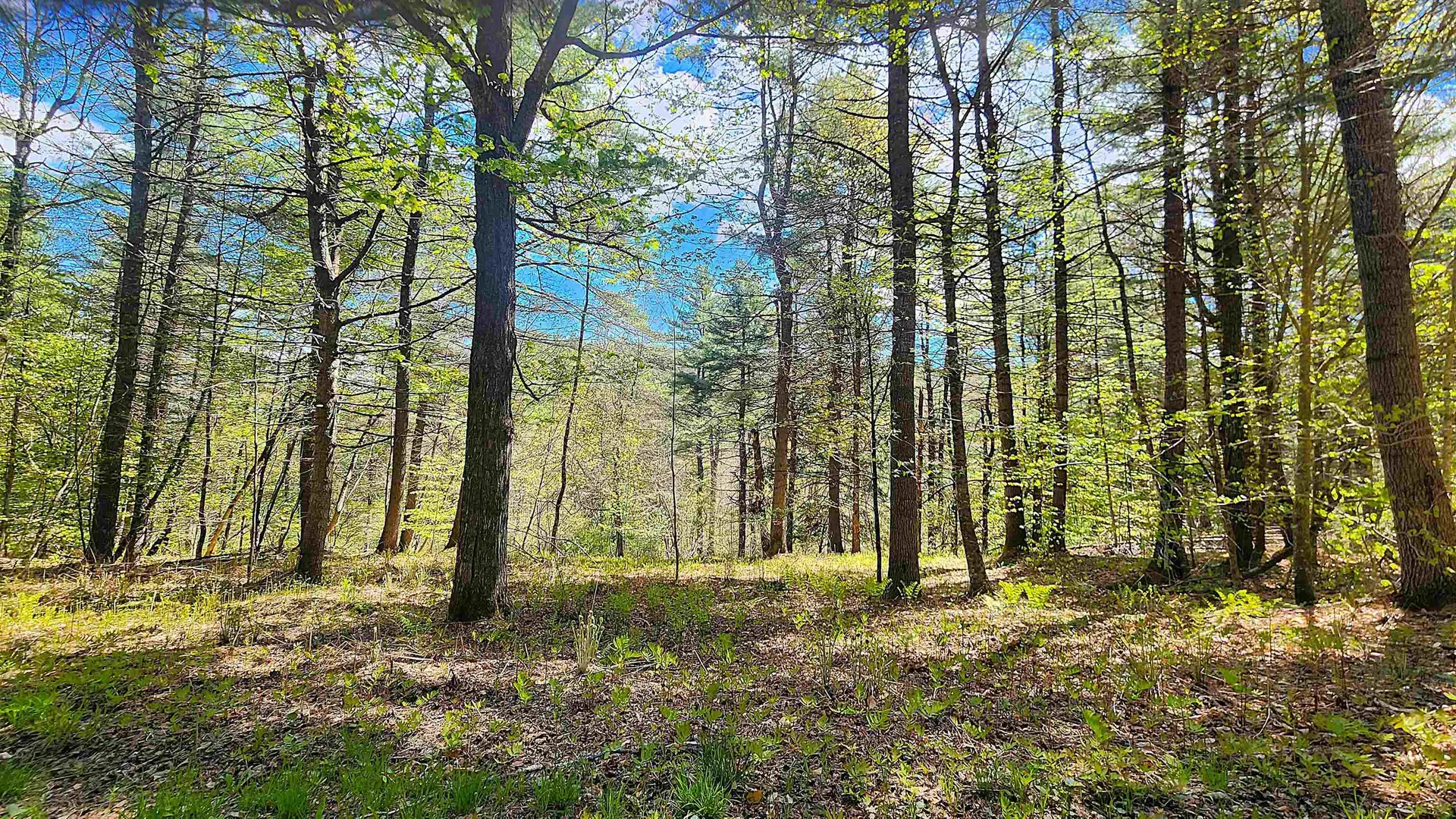 0 Linden Way Chester VT 05143