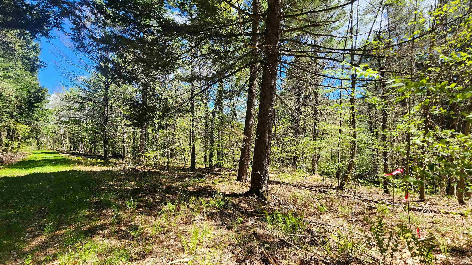 0 Linden Way Chester VT 05143