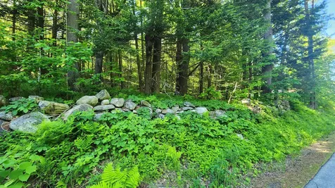 0 Linden Way Chester VT 05143
