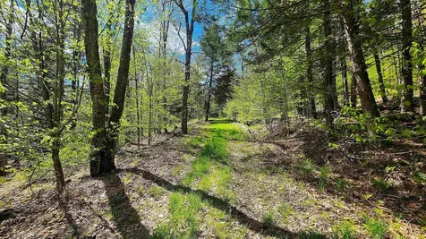 0 Linden Way Chester VT 05143