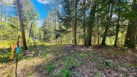 0 Linden Way Chester VT 05143