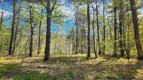 0 Linden Way Chester VT 05143