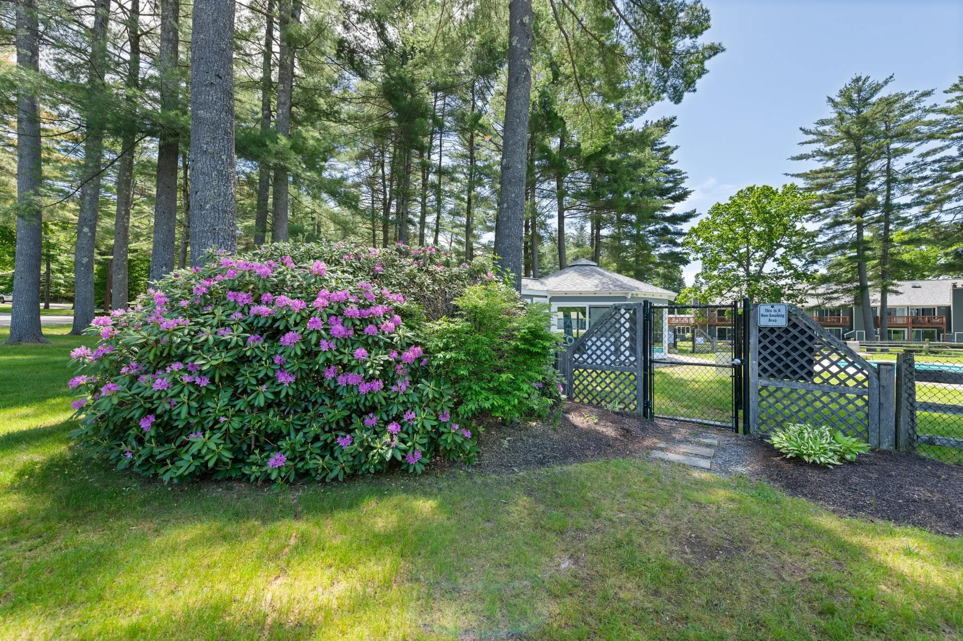 21 Pine Arden Drive Ashland NH 03217