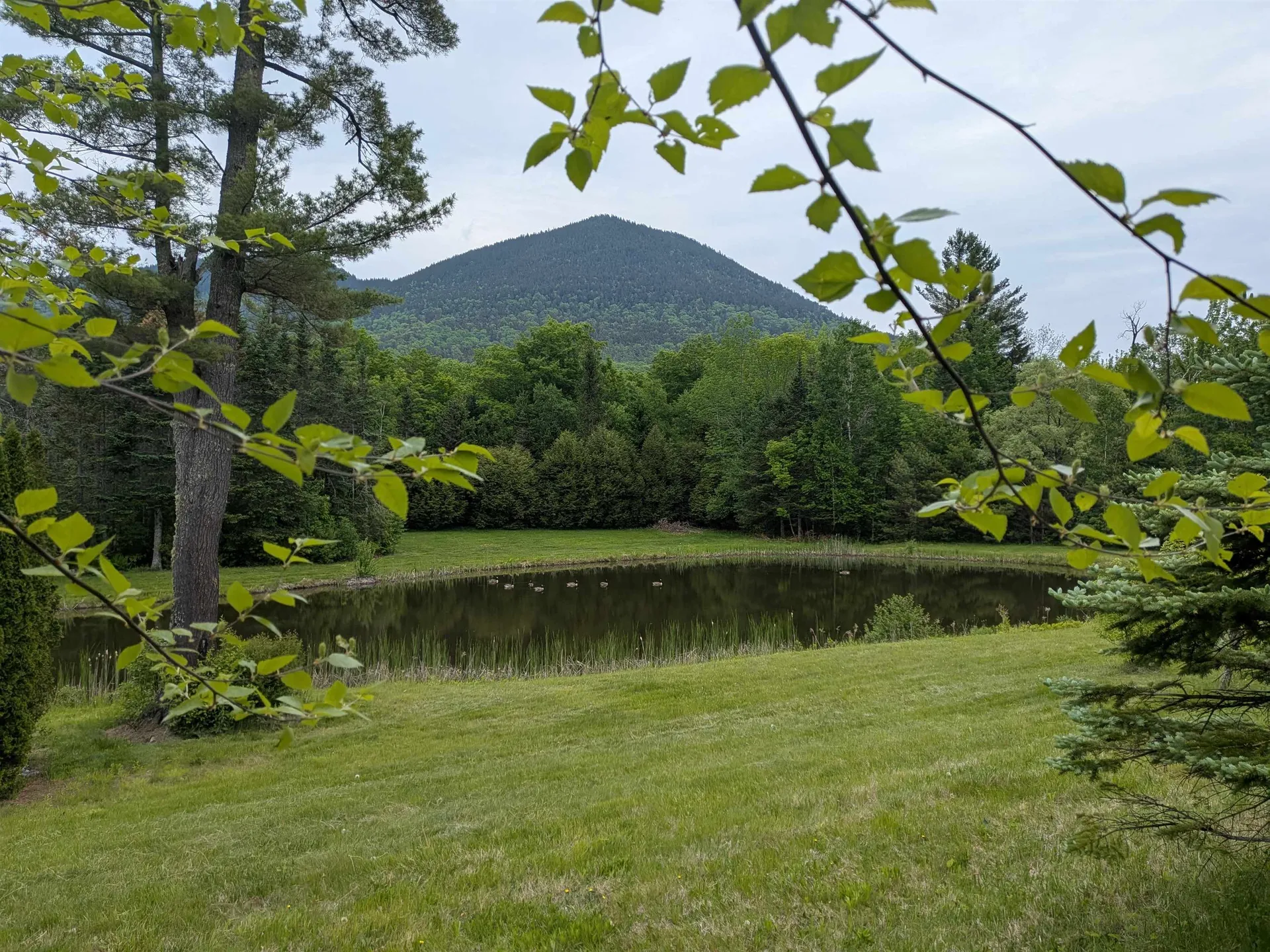 196 Dundee Road Jackson NH 03846