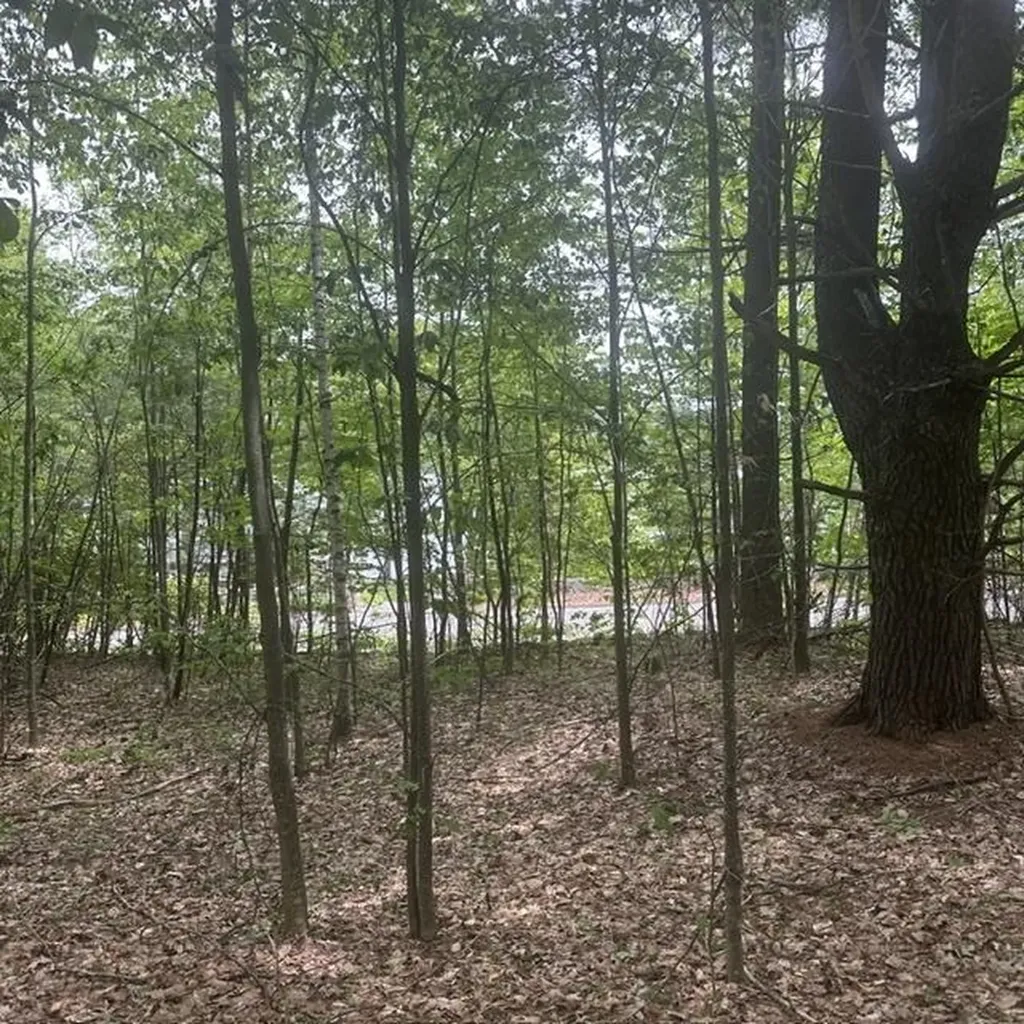 44.1 Lovell Lake Road Wakefield NH 03872