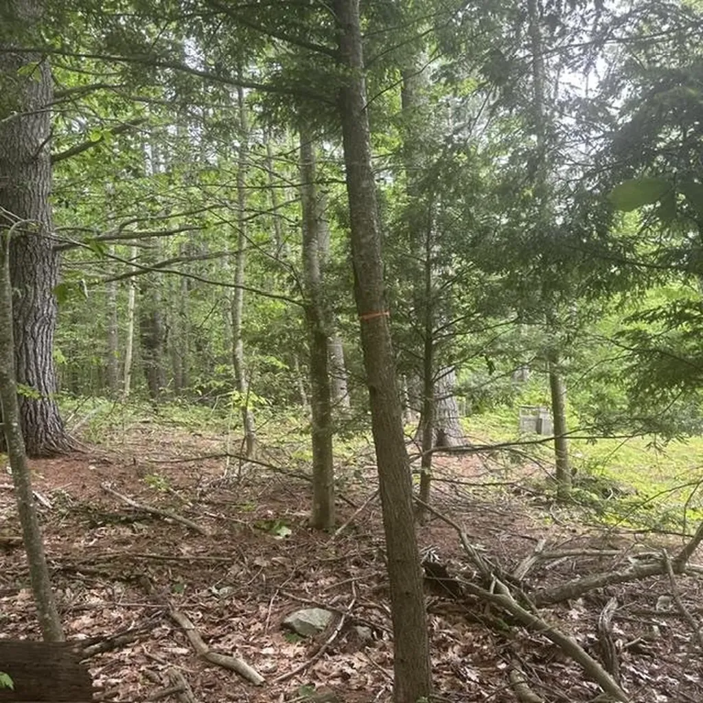 44.1 Lovell Lake Road Wakefield NH 03872