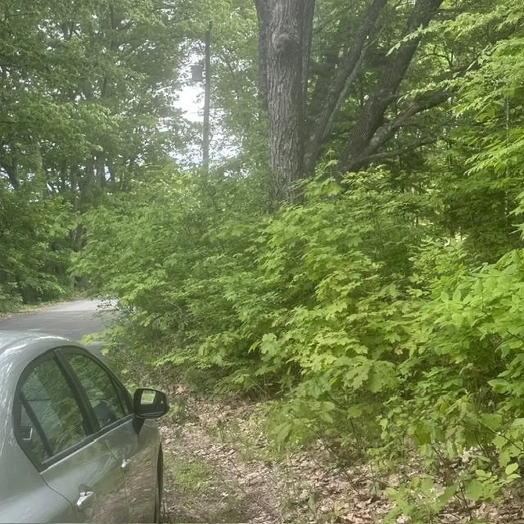 44.1 Lovell Lake Road Wakefield NH 03872