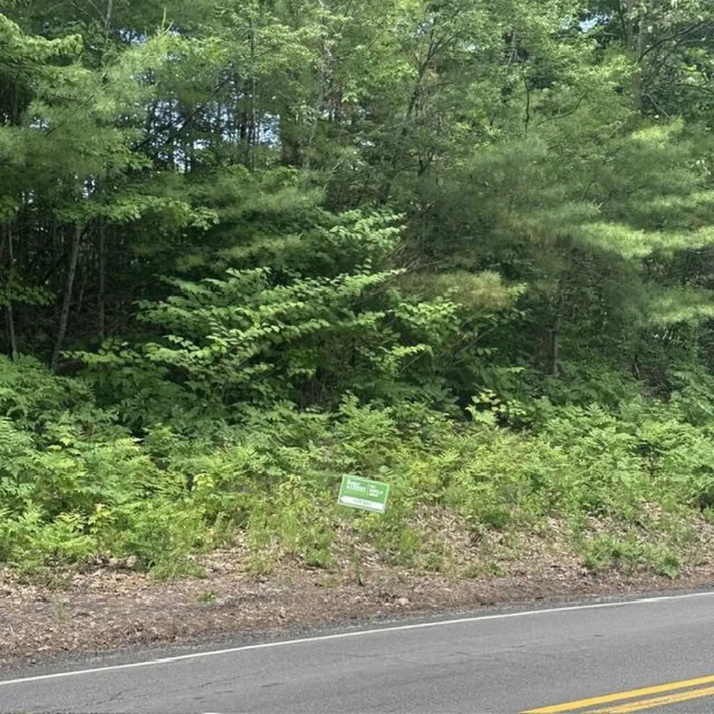 44.1 Lovell Lake Road Wakefield NH 03872