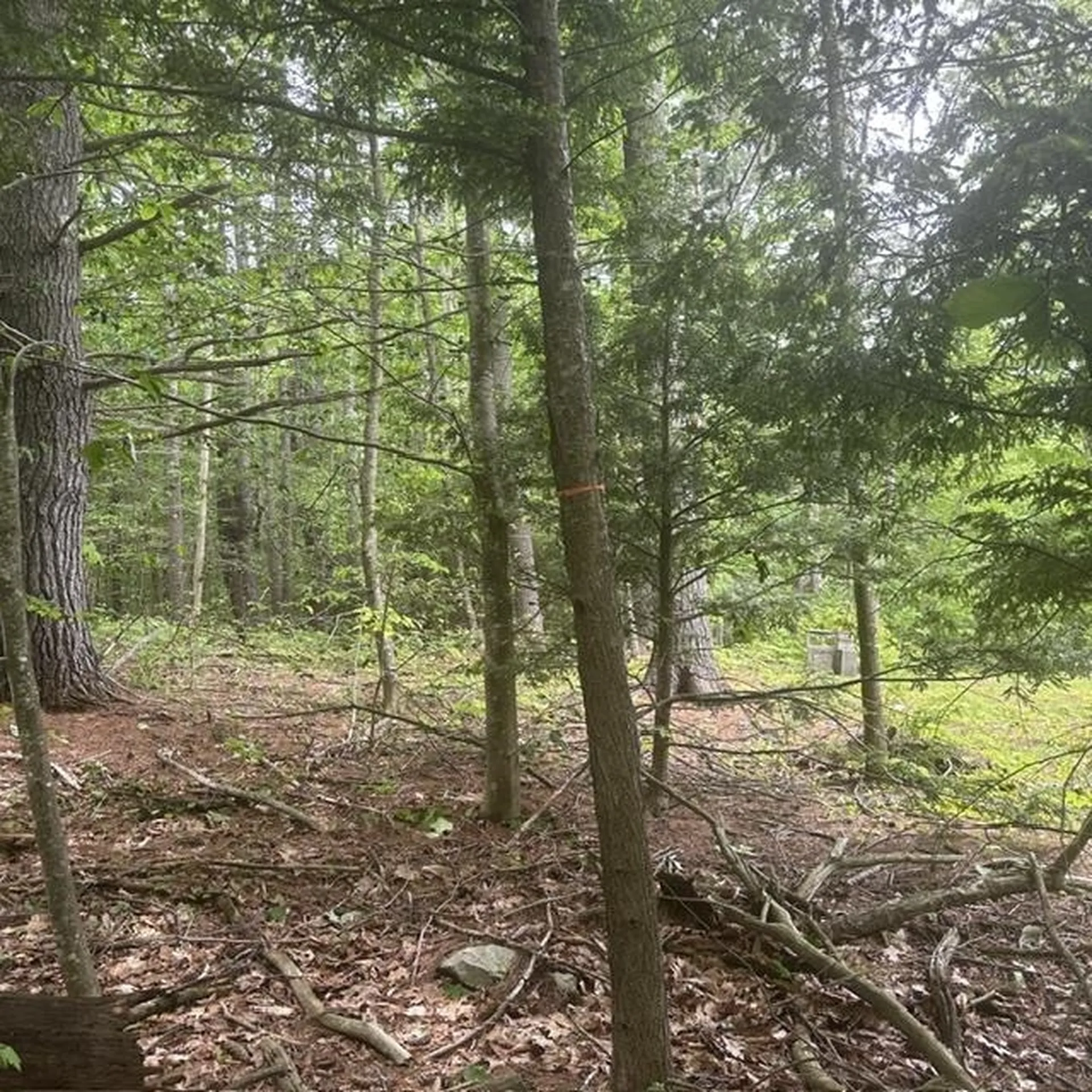 44.1 Lovell Lake Road Wakefield NH 03872