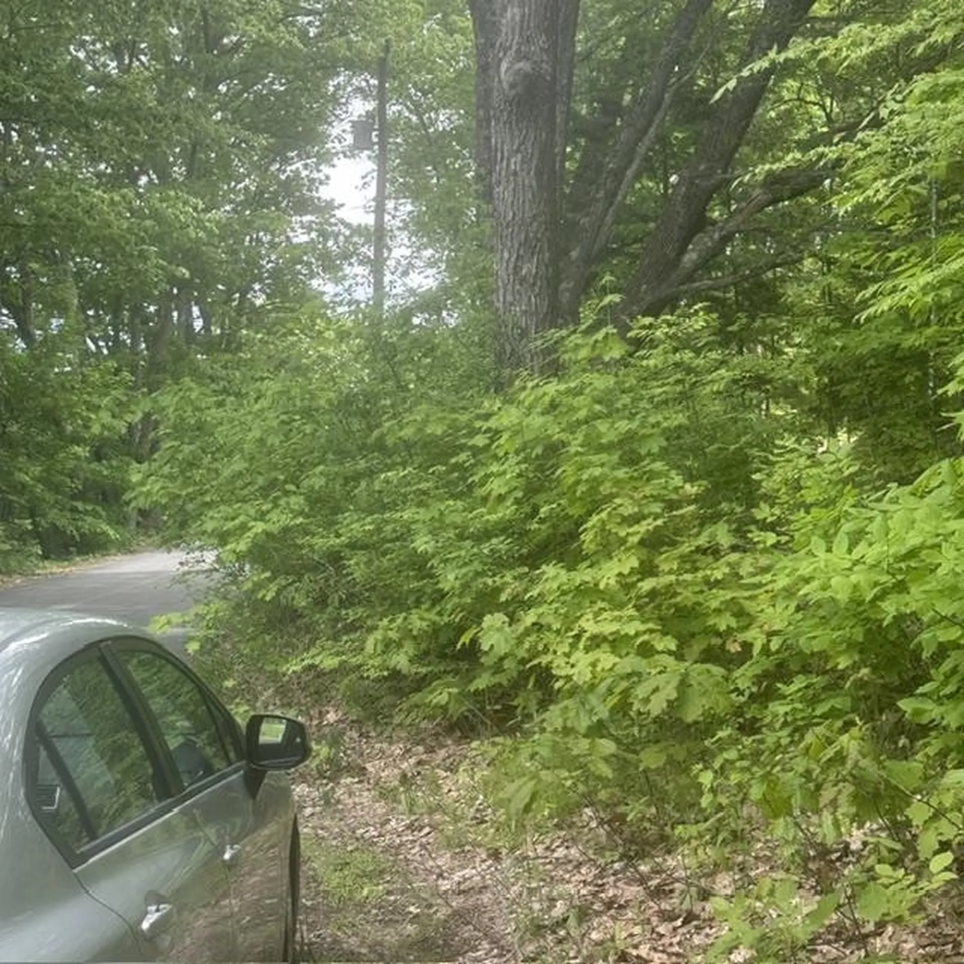 44.1 Lovell Lake Road Wakefield NH 03872