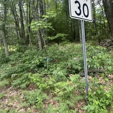 44.1 Lovell Lake Road Wakefield NH 03872