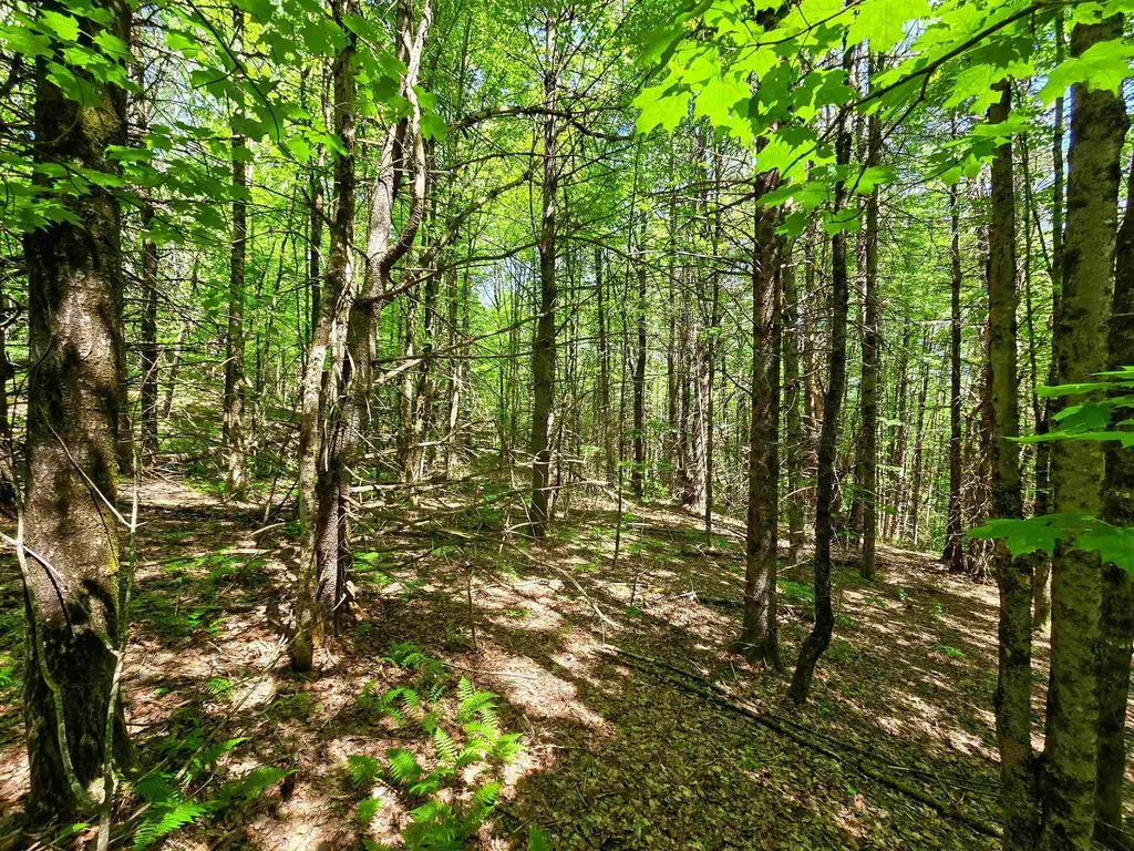 1905 Camp Munn Road Bradford VT 05033