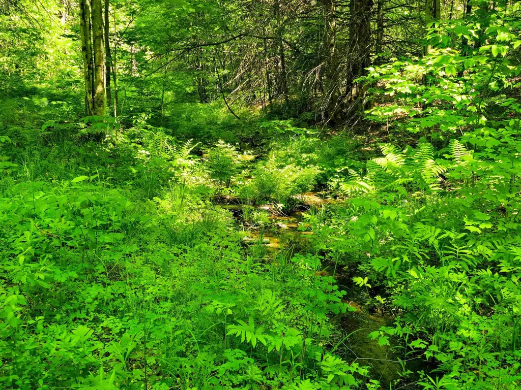 1905 Camp Munn Road Bradford VT 05033