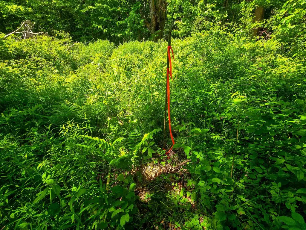 1905 Camp Munn Road Bradford VT 05033