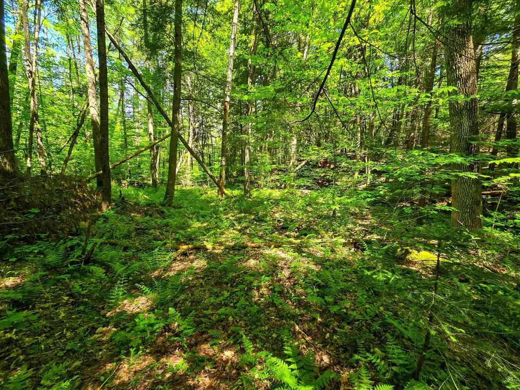 1905 Camp Munn Road Bradford VT 05033