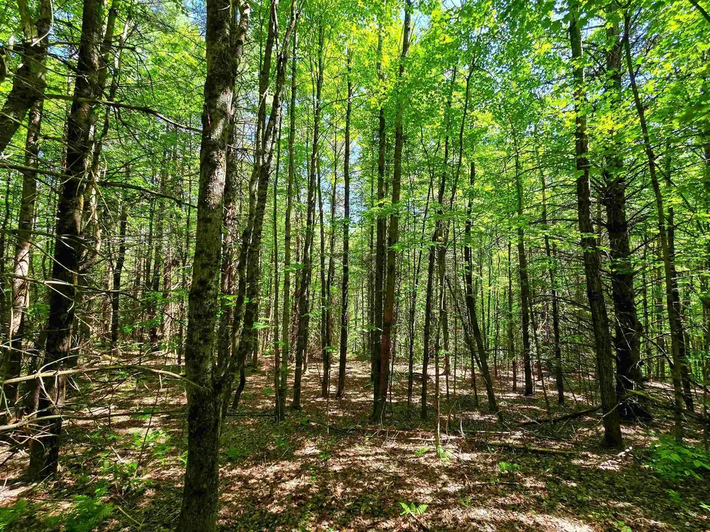 1905 Camp Munn Road Bradford VT 05033