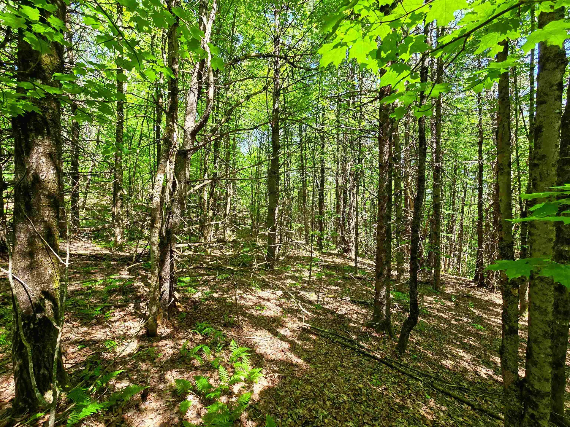 1905 Camp Munn Road Bradford VT 05033