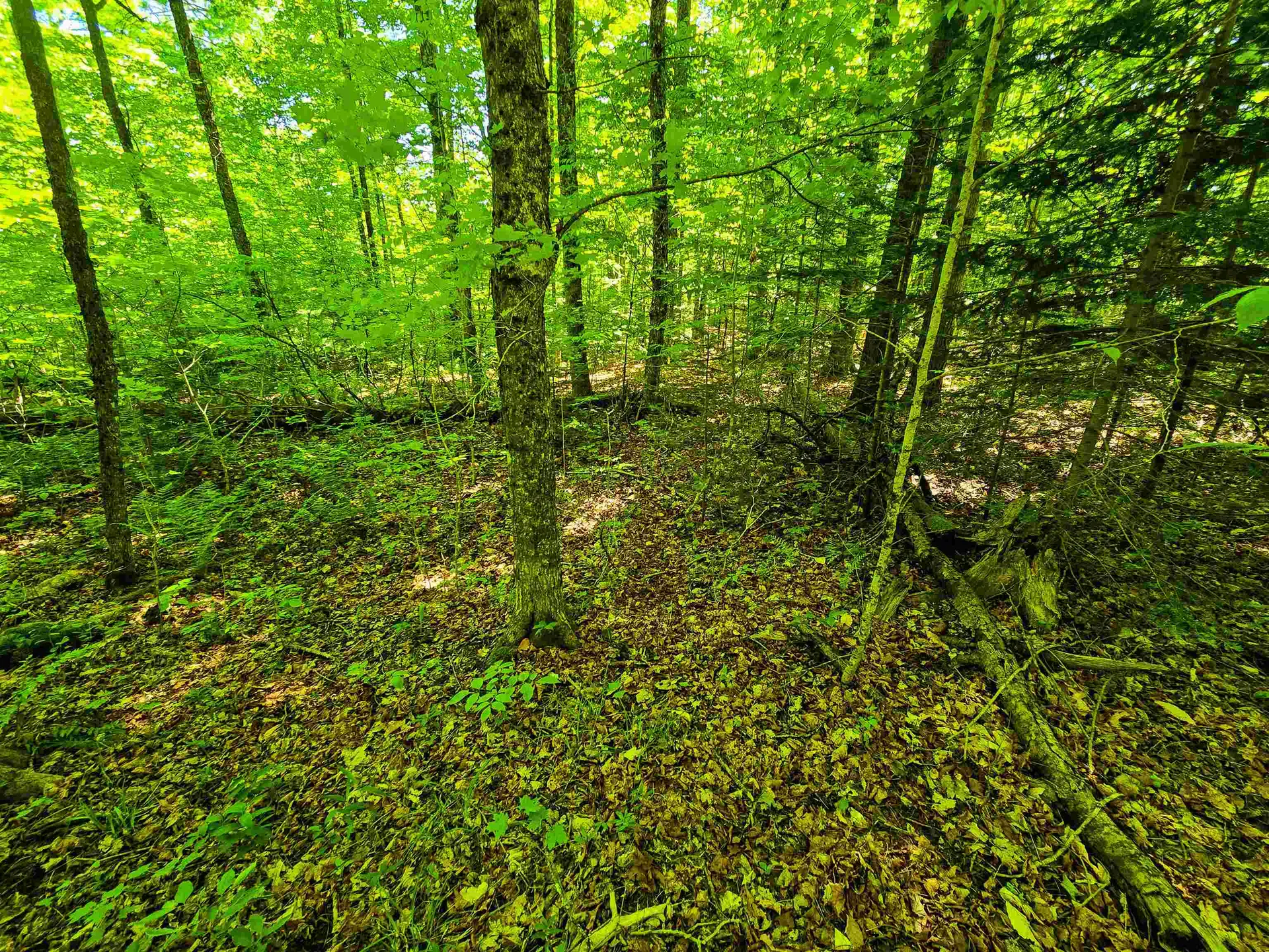 1905 Camp Munn Road Bradford VT 05033