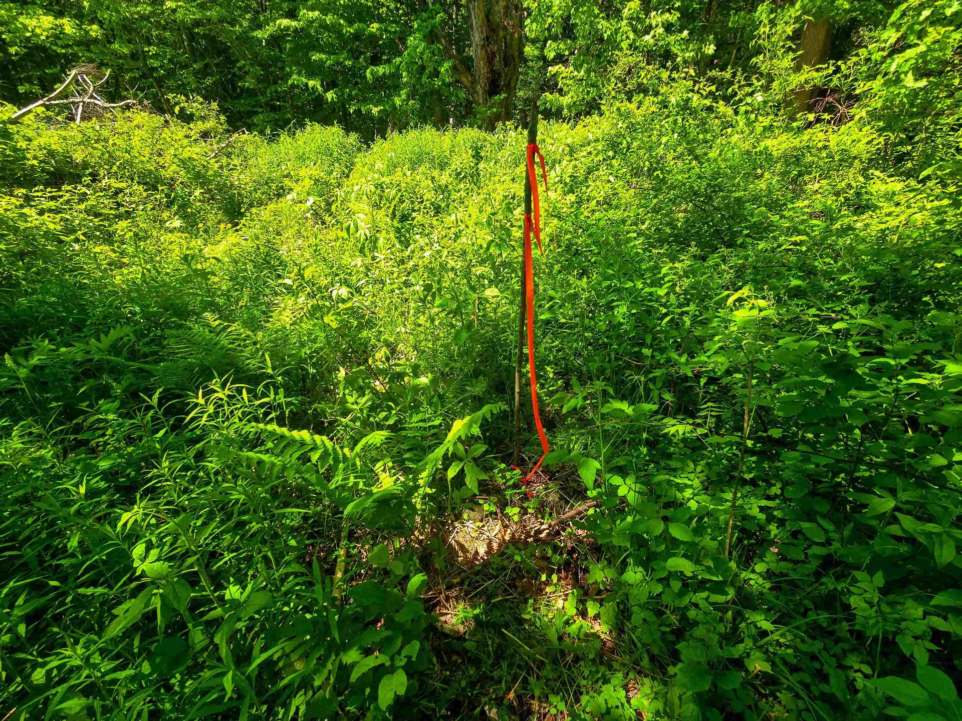 1905 Camp Munn Road Bradford VT 05033