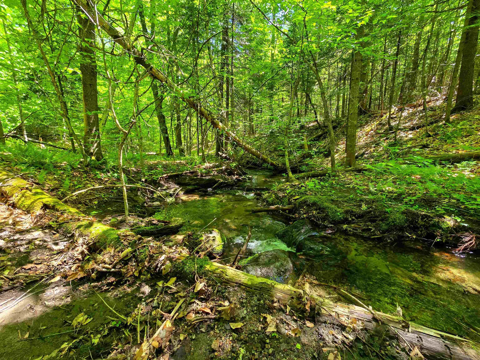 1905 Camp Munn Road Bradford VT 05033