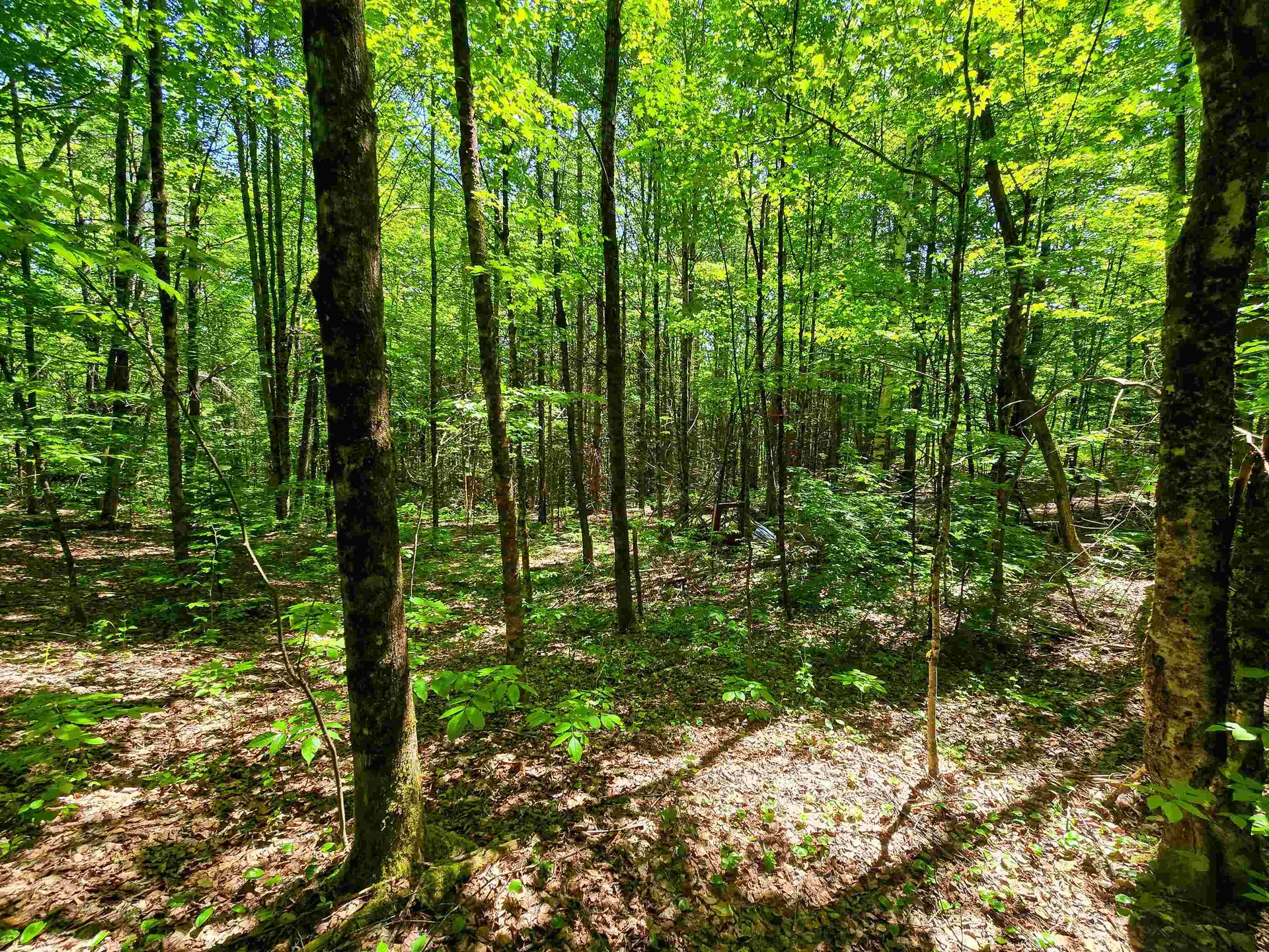 1905 Camp Munn Road Bradford VT 05033