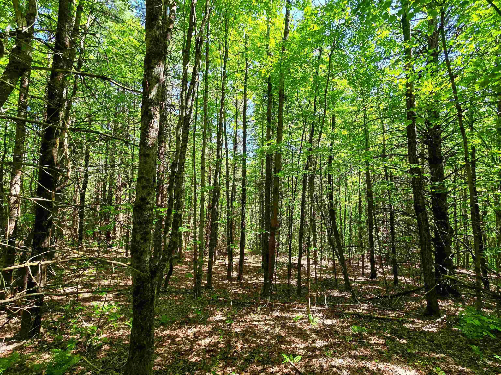 1905 Camp Munn Road Bradford VT 05033