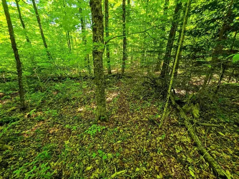 1905 Camp Munn Road Bradford VT 05033