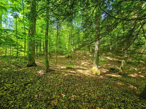 1905 Camp Munn Road Bradford VT 05033