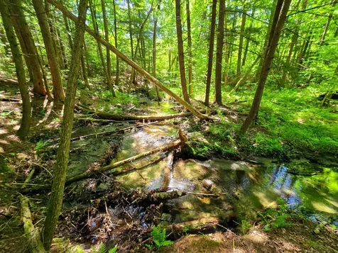 1905 Camp Munn Road Bradford VT 05033
