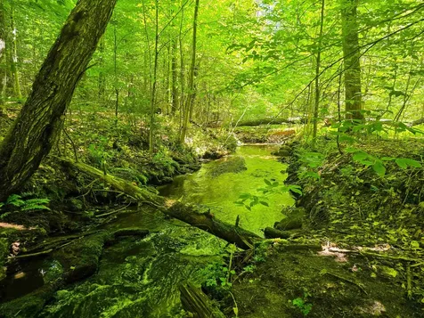 1905 Camp Munn Road Bradford VT 05033