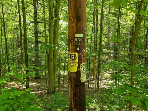 1905 Camp Munn Road Bradford VT 05033