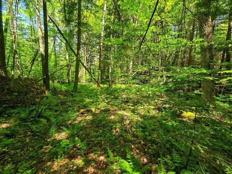 1905 Camp Munn Road Bradford VT 05033