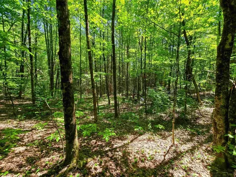 1905 Camp Munn Road Bradford VT 05033