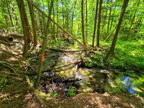 1905 Camp Munn Road Bradford VT 05033