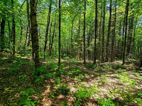 1905 Camp Munn Road Bradford VT 05033