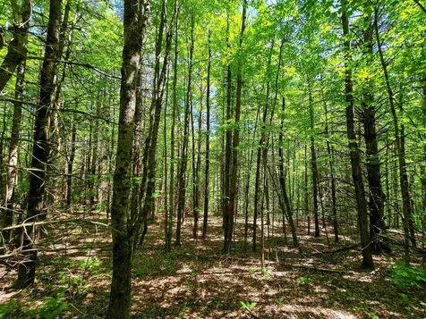1905 Camp Munn Road Bradford VT 05033