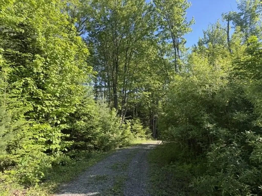1 Drift Lane Hyde Park VT 05655