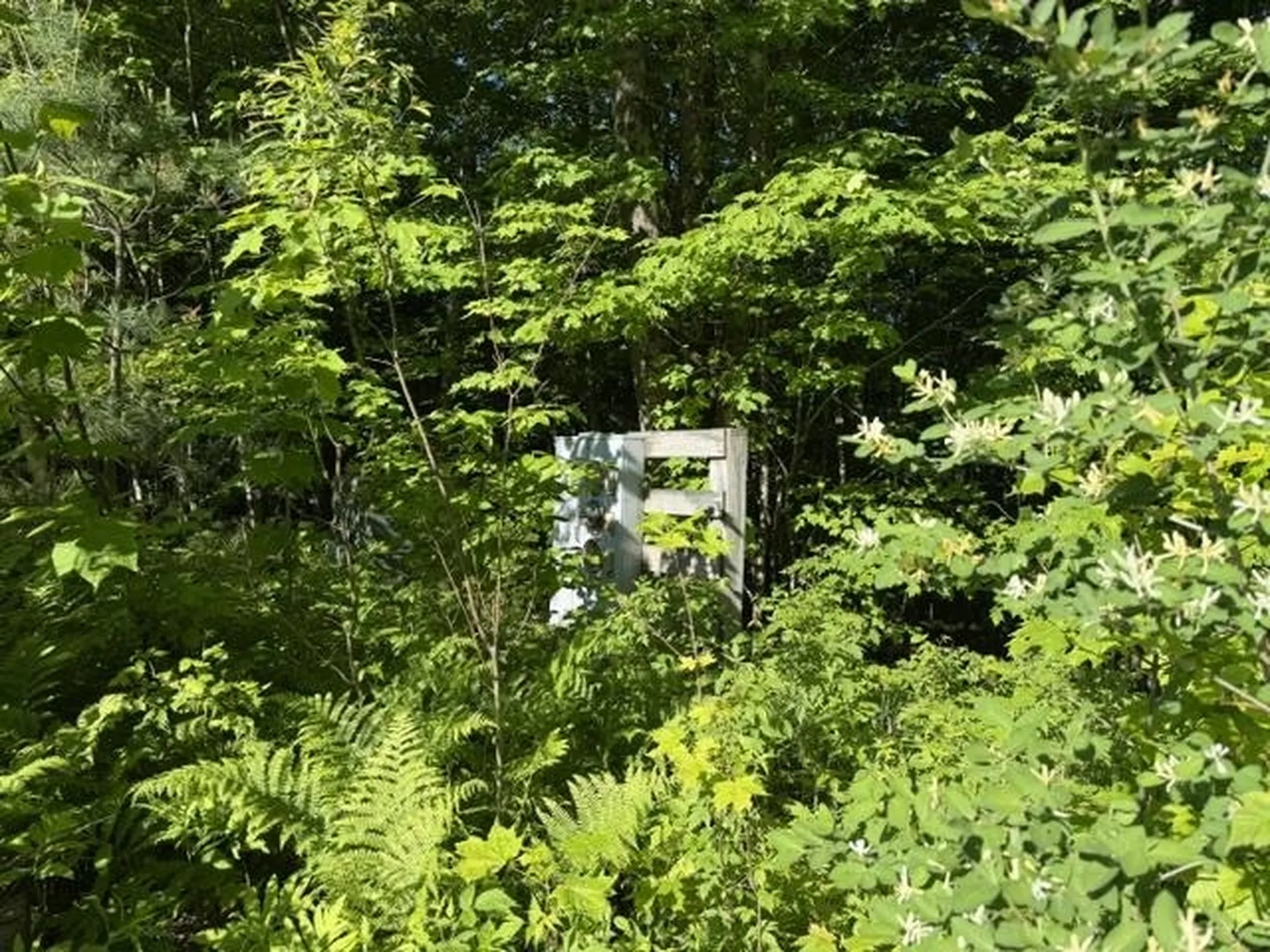 1 Drift Lane Hyde Park VT 05655
