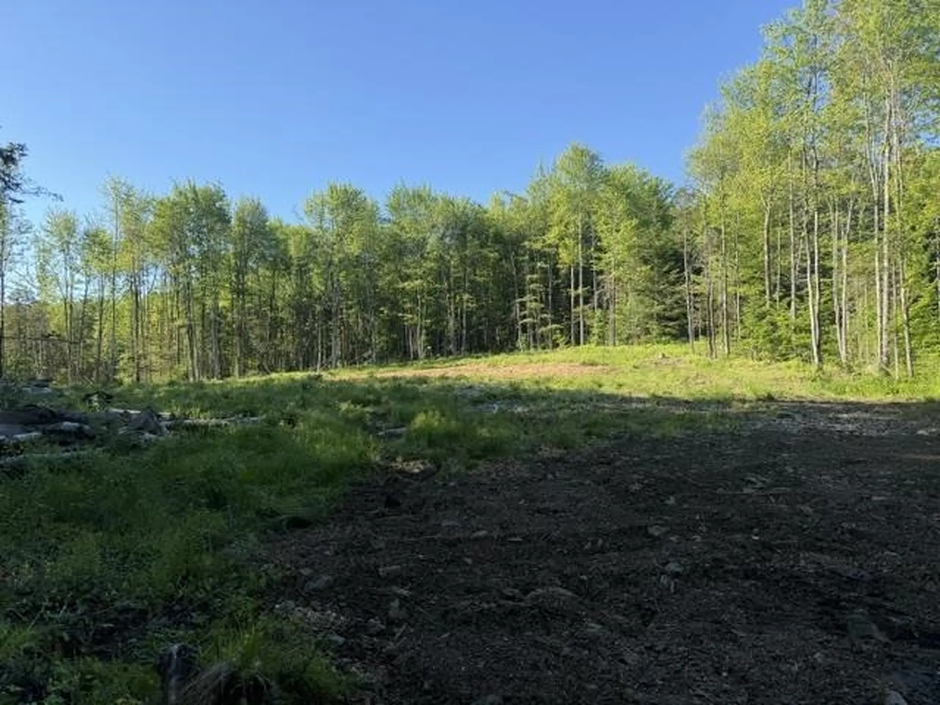 1 Drift Lane Hyde Park VT 05655