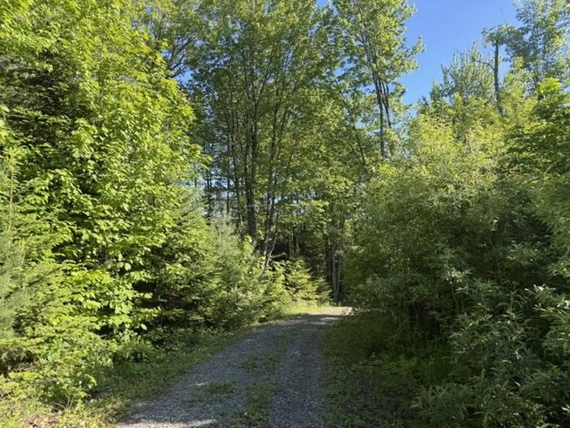 1 Drift Lane Hyde Park VT 05655