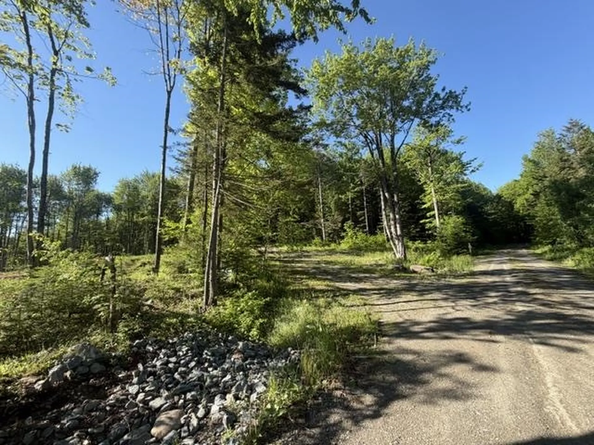 1 Drift Lane Hyde Park VT 05655