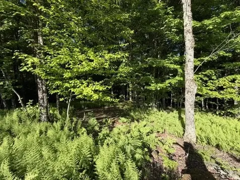 1 Drift Lane Hyde Park VT 05655