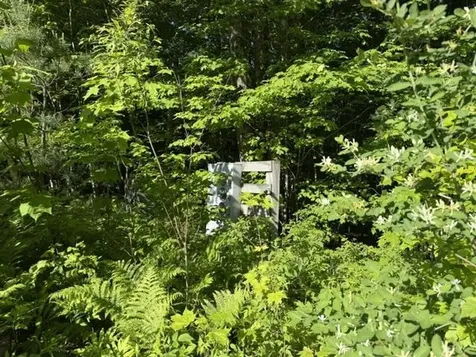 1 Drift Lane Hyde Park VT 05655