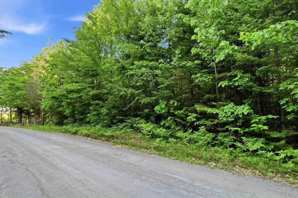 00 Porter Road Bath NH 03740