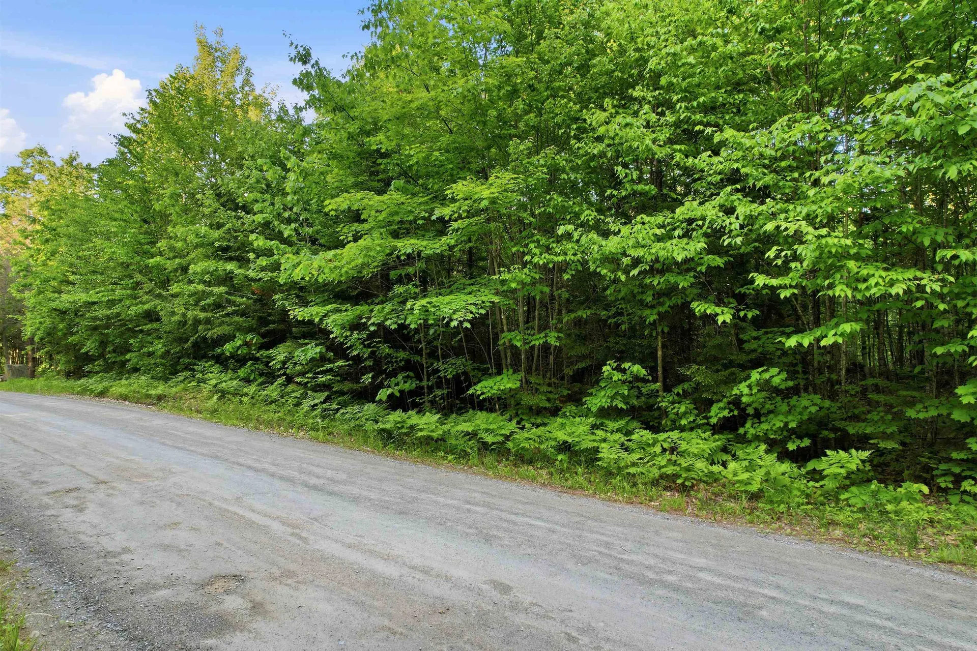 00 Porter Road Bath NH 03740