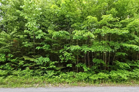 00 Porter Road Bath NH 03740