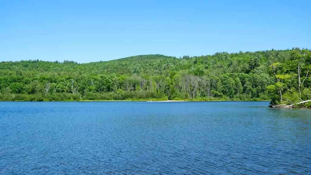 00 Route 100n Plymouth VT 05056