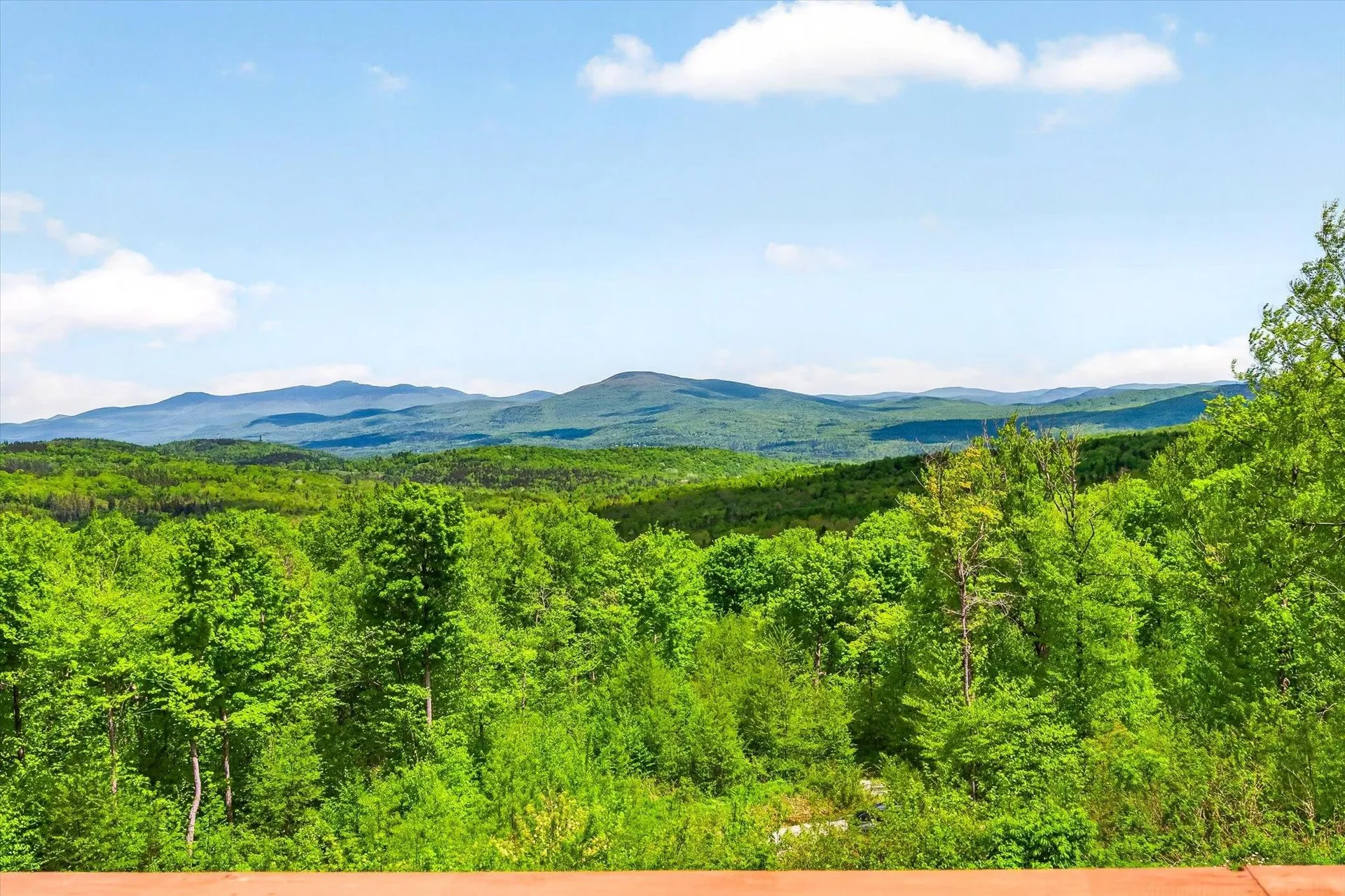 680 Government Road Mount Holly VT 05758