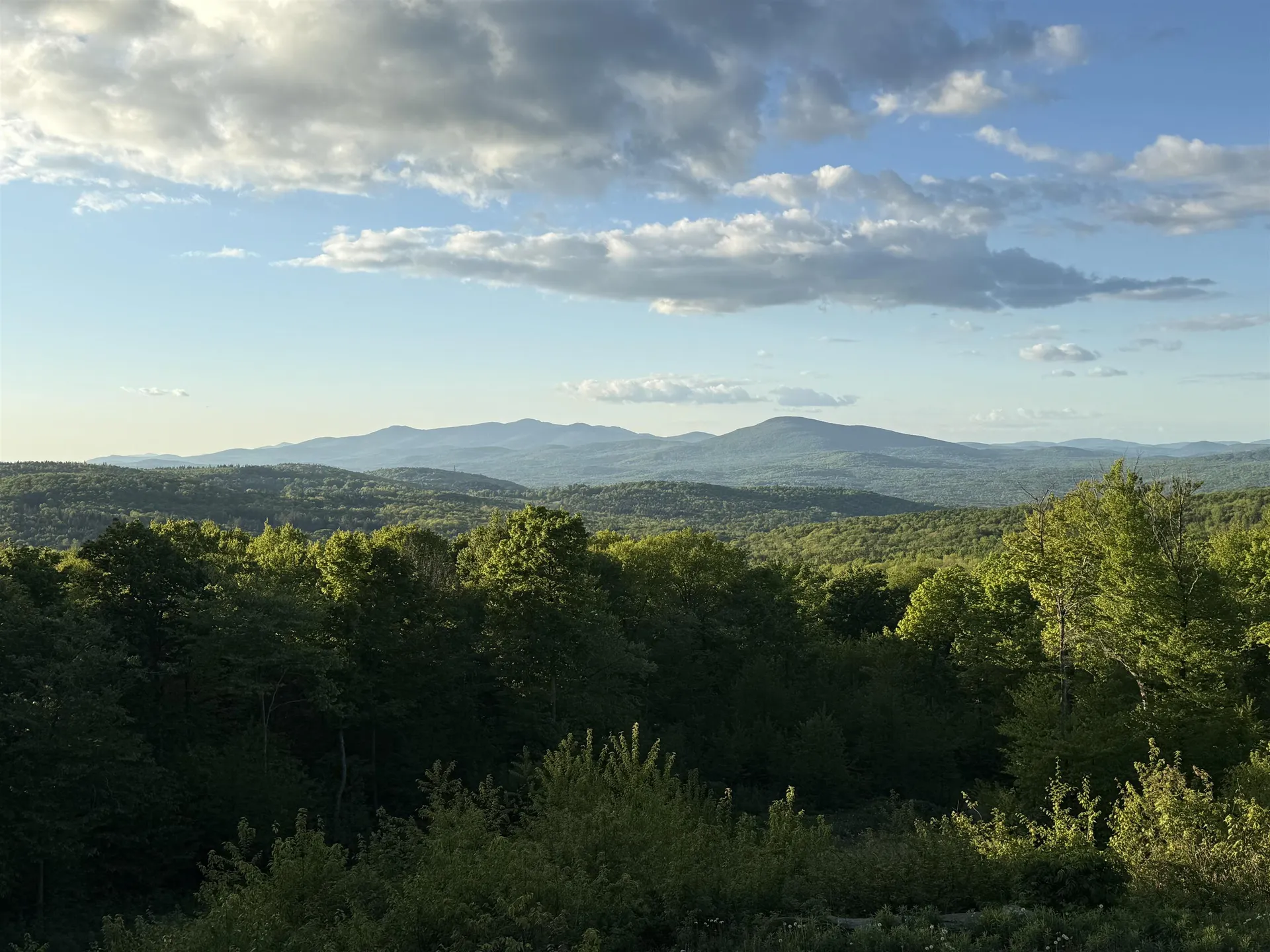 680 Government Road Mount Holly VT 05758