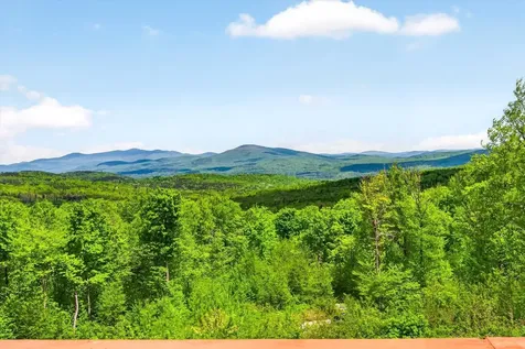 680 Government Road Mount Holly VT 05758